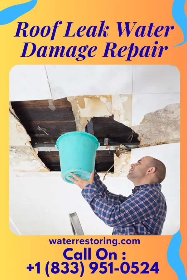 Roof Leak Water Damage Repair in Sparta, OH