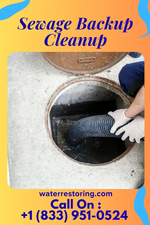 Sewage Backup Cleanup in Sparta, OH