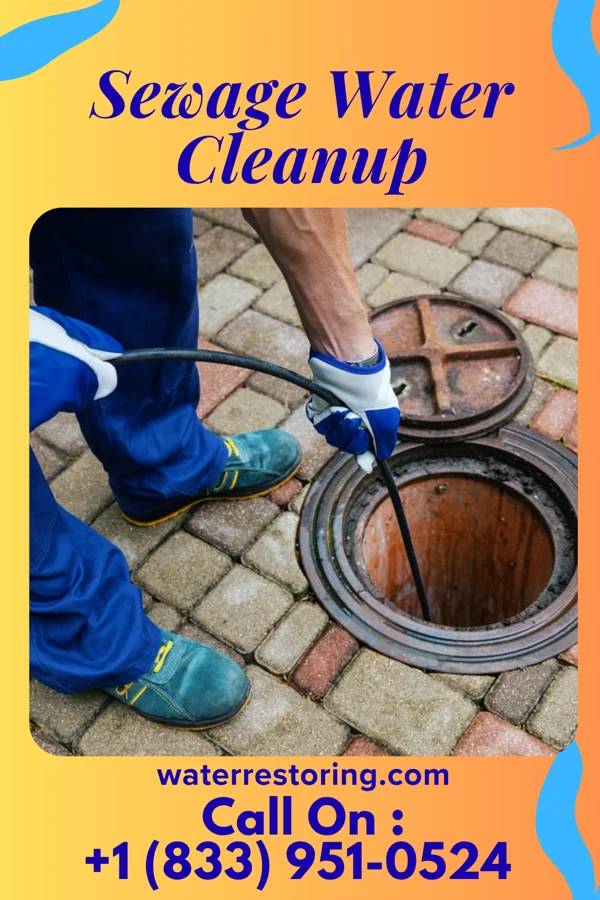 Sewage Water Cleanup in Sparta, OH