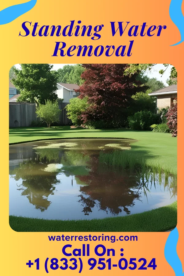 Standing Water Removal in Sparta, OH